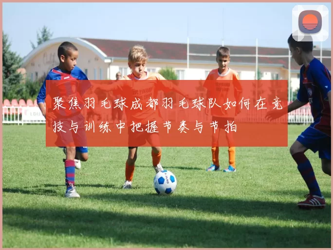 聚焦羽毛球成都羽毛球队如何在竞技与训练中把握节奏与节拍
