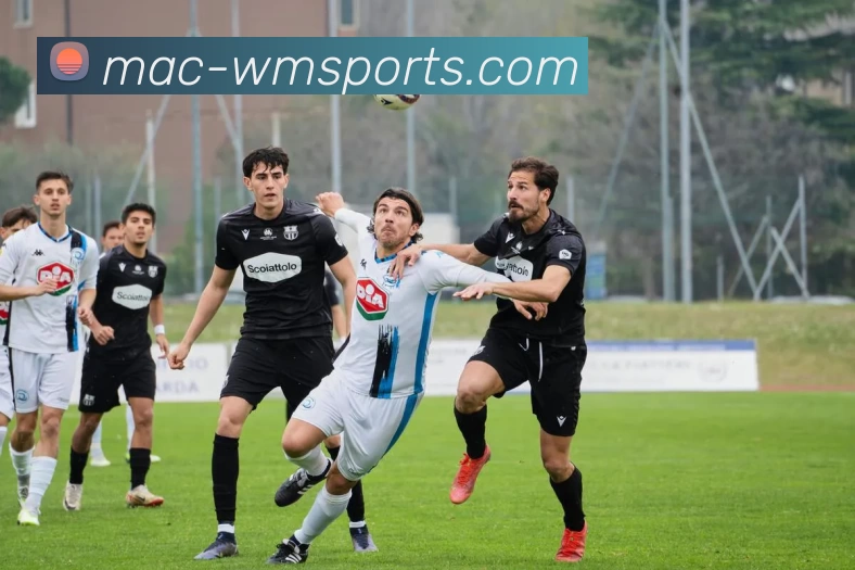 开云kaiyunAPP 体育赛事宣传图